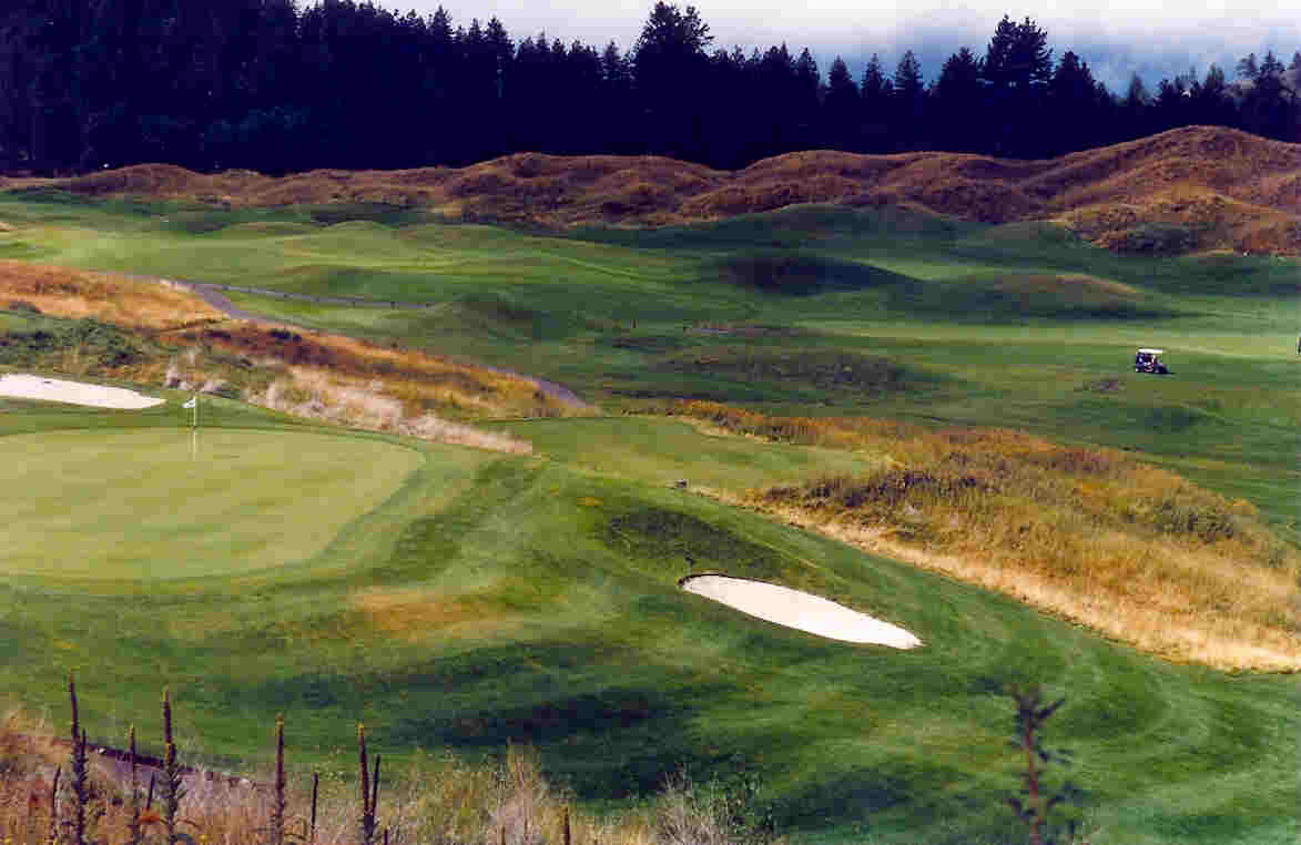 Anyone For A Spot Of Golf?