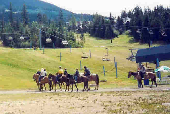 Horseback Excursions
