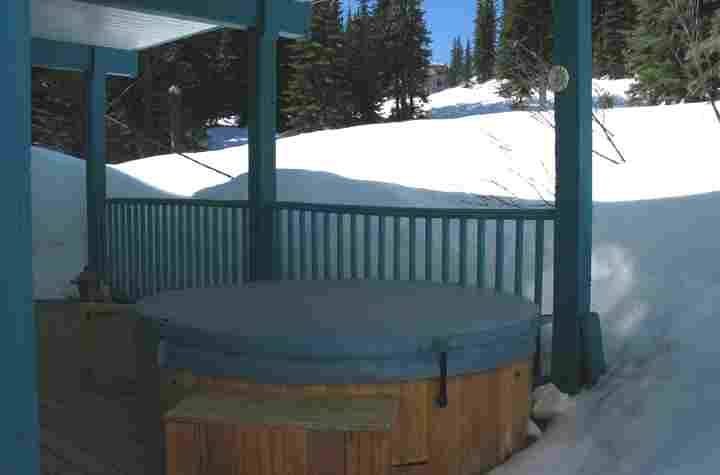 The outside hot tub.