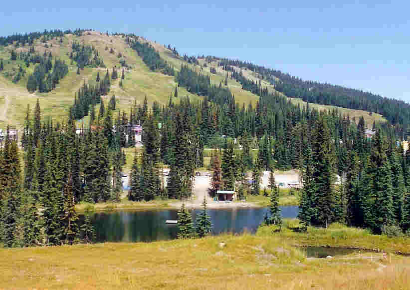 Take A Walk Around Brewers Pond!