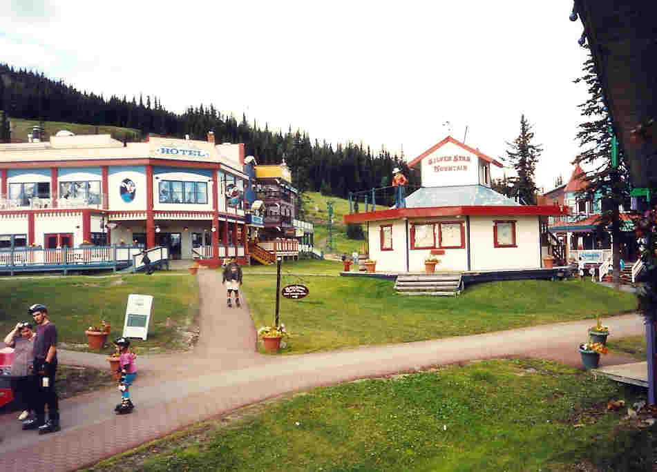 Busy Summer Village